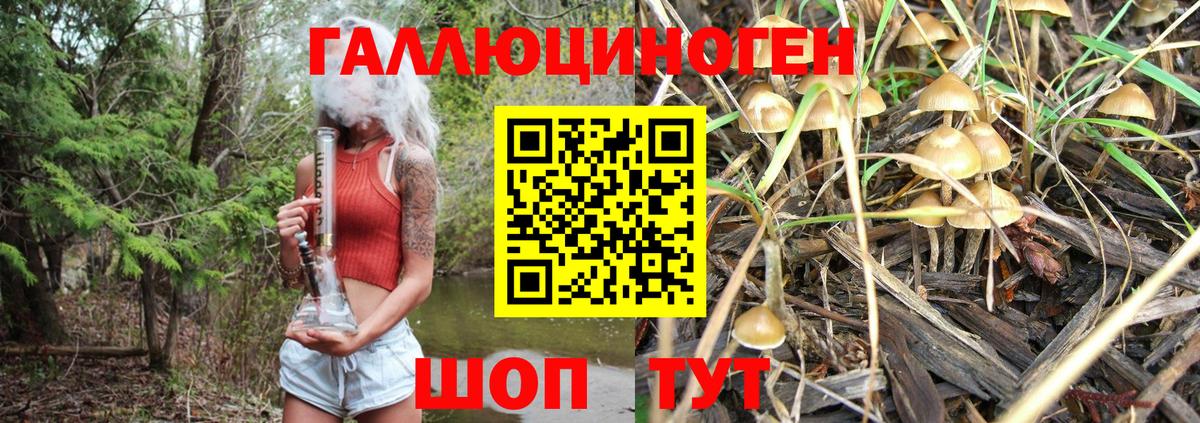 Бугуруслан  Галлюциногенные грибы Magic Shrooms  Вход с VPN 
