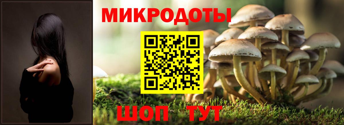 Псилоцибиновые грибы Cubensis Бугуруслан